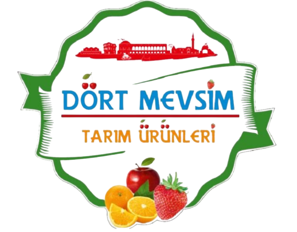 Dört Mevsim